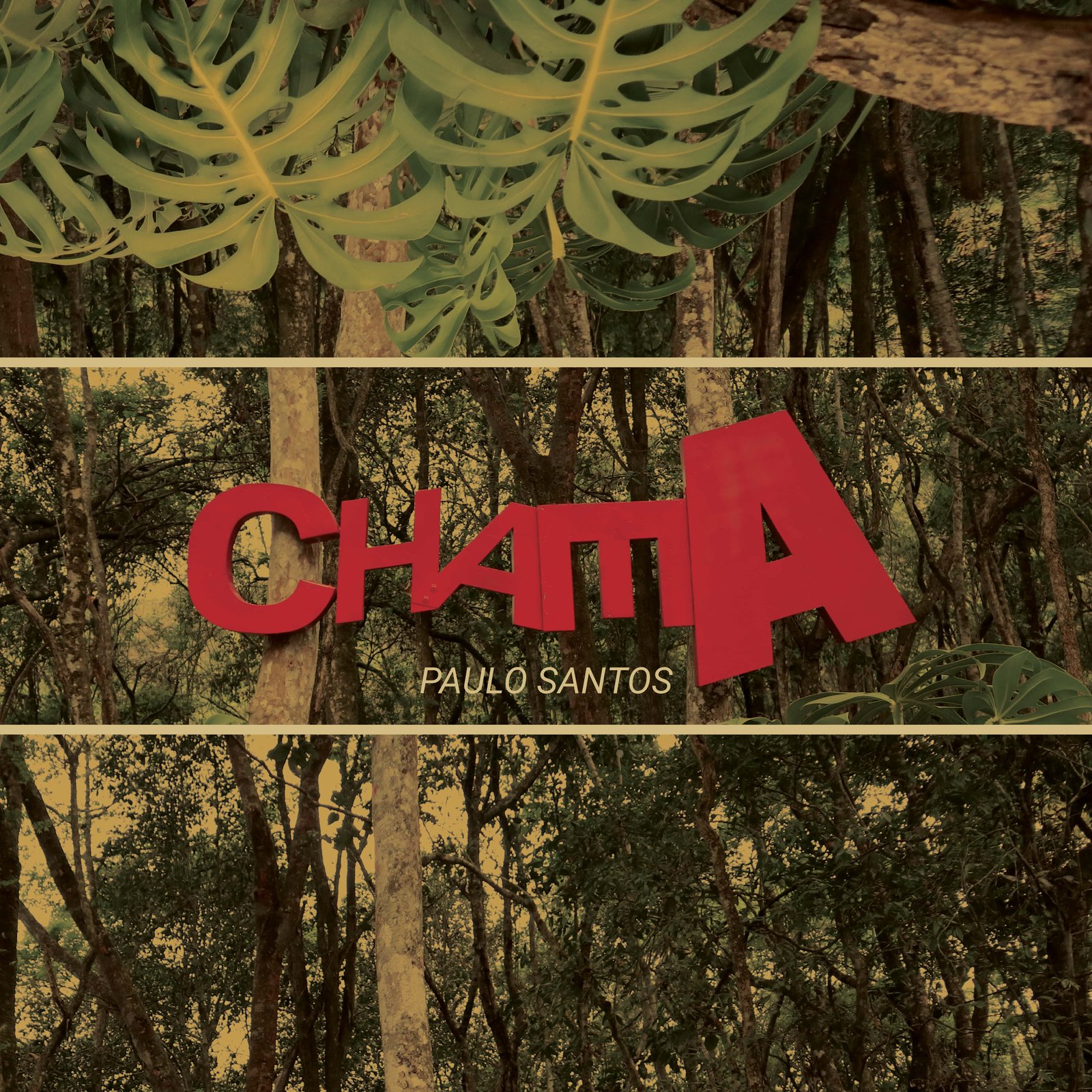 PAULO SANTOS APRESENTA “CHAMA” - imagem 2