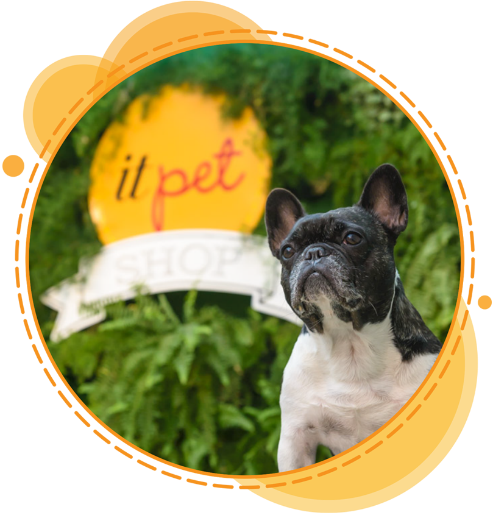 https://itpetshop.com.br/wp-content/uploads/2019/07/arte-pagina-espaco.png