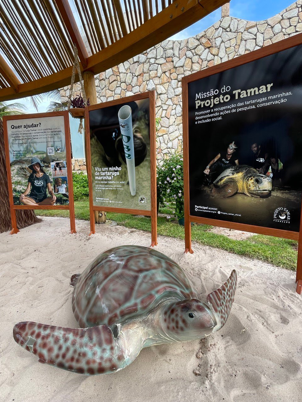Kilombo Villas, em parceria com Preserve Pipa, realiza exposição sobre Projeto Tamar - imagem 3