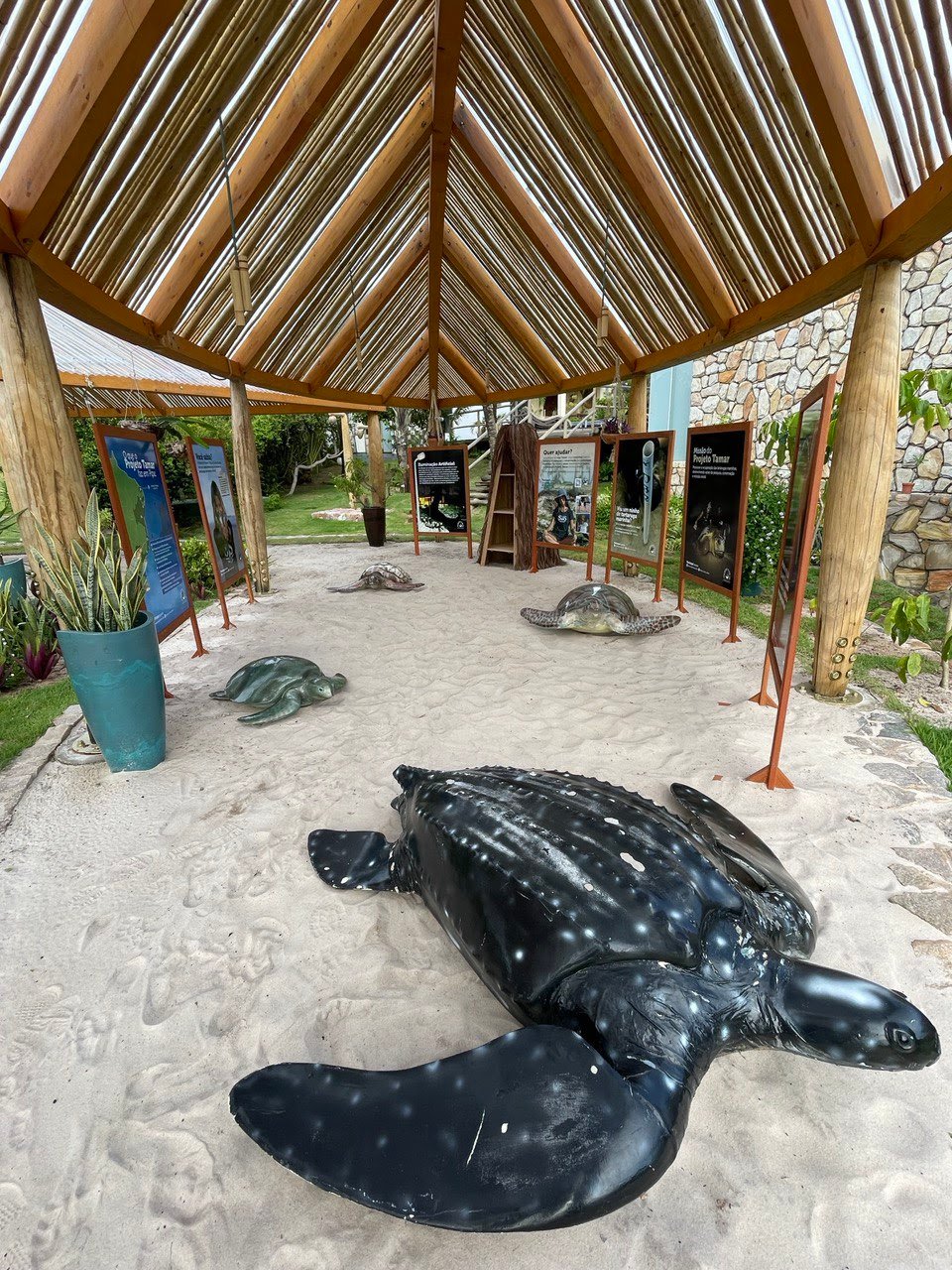 Kilombo Villas, em parceria com Preserve Pipa, realiza exposição sobre Projeto Tamar - imagem 4