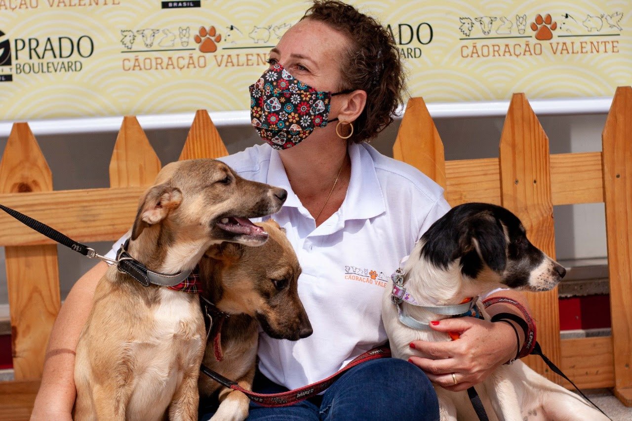 Mês de abril terá três feiras de adoção de animais no Shopping Prado Boulevard - imagem 2