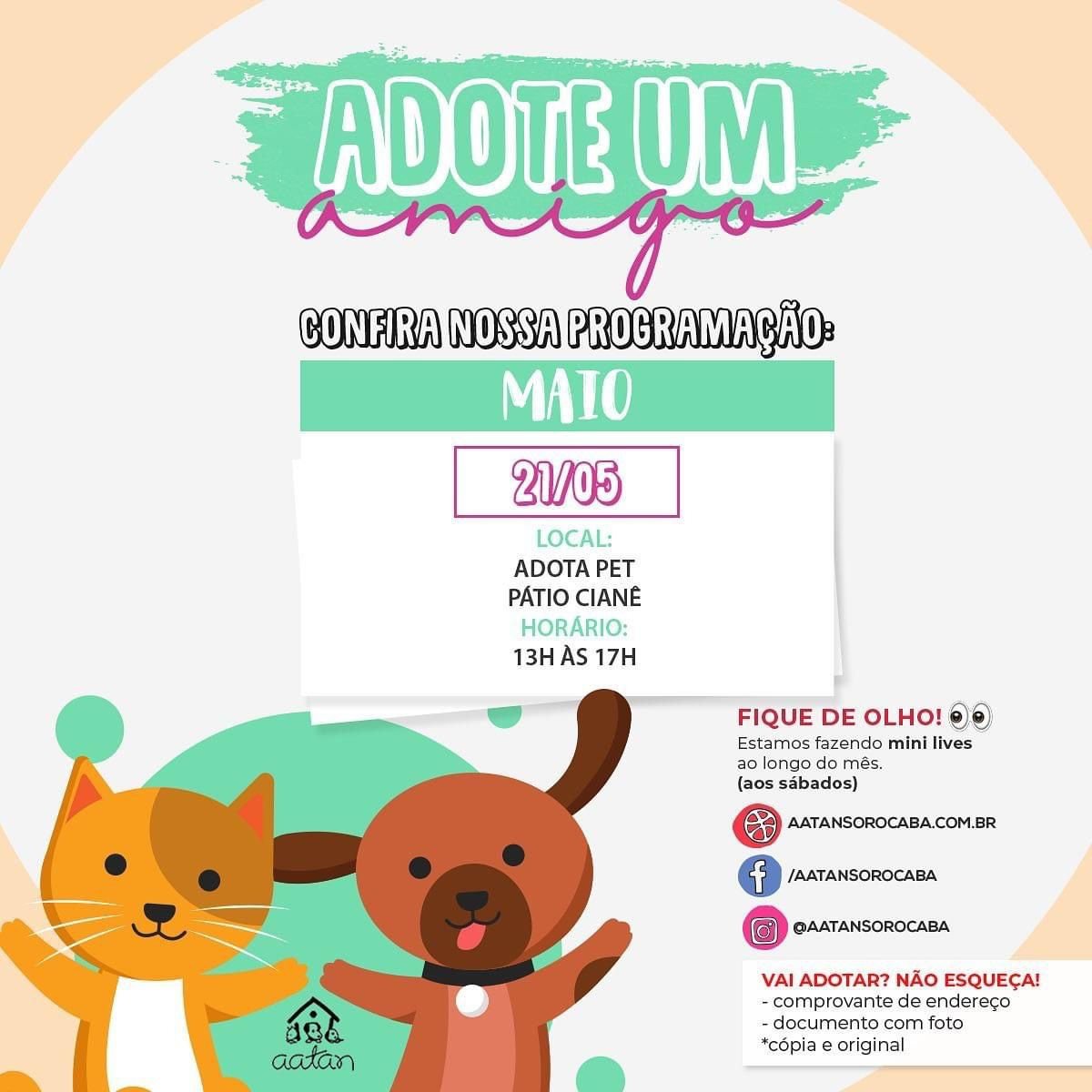 Adotando um amor