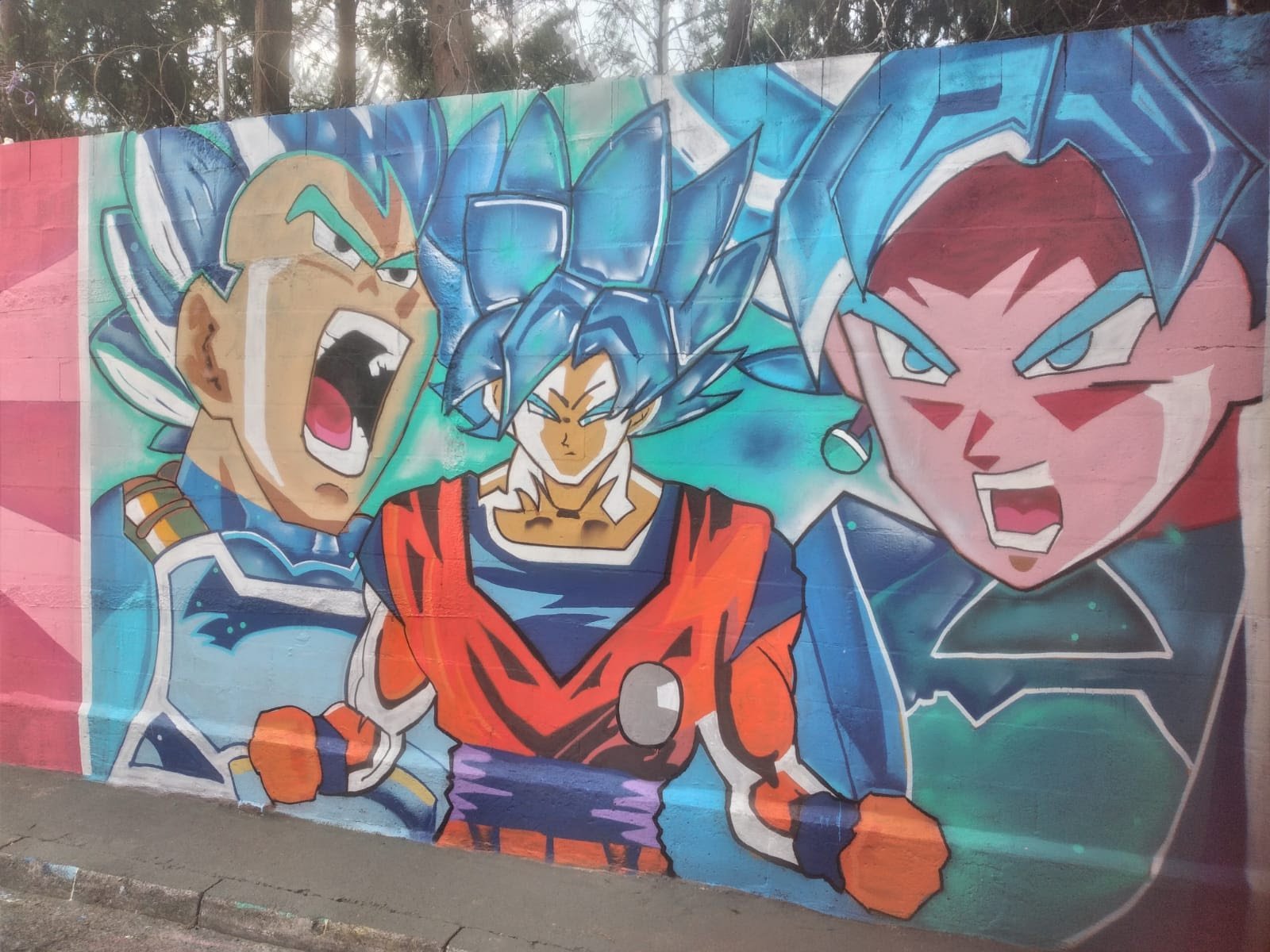 Aviso de pautaMoradores de São Bernardo inauguram mural artístico em homenagem a Salvador Arena como parte de - imagem 5