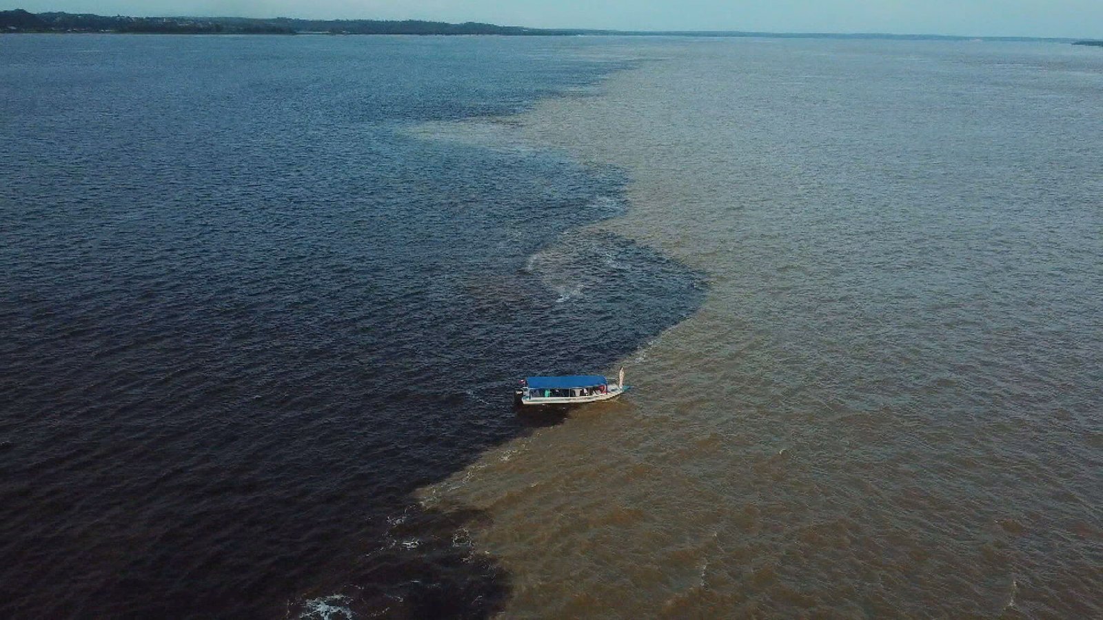 “CNN Viagem e Gastronomia” apresenta experiências sensoriais na Amazônia - imagem 4