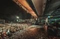 Com remixes inéditos e show pirotécnico, Alok agita público em festas de São João: 'Insano' - imagem 4
