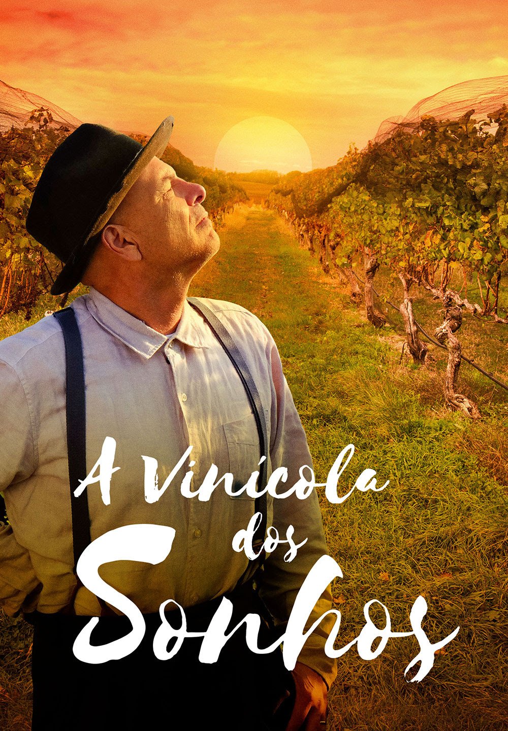 Comédia 'A Vinícola dos Sonhos'é estreia exclusiva do Looke - imagem 3
