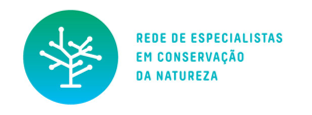 É Real? Áreas verdes podem reduzir o impacto das enchentes nas cidades? - imagem 2