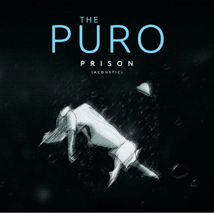 The Puro, projeto de guitarrista do Cranberries com cantora brasileira, lança versão acústica de “Prison” - imagem 3