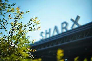 Sharx: Piracicaba ganha moderna arena com nove quadras para prática de Padel, Beach Tênis e Pickleball - imagem 13