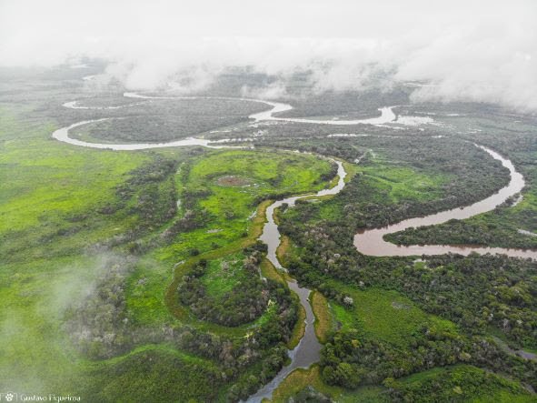 SOS Pantanal e Rede Pro UC promovem expedição por unidades de conservação com a presença das atrizes