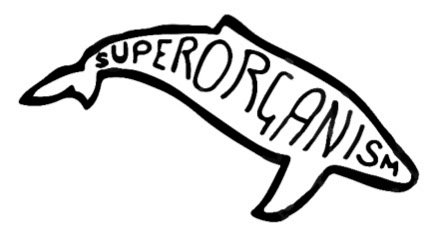 Superorganism lança novo álbum World Wide Pop - imagem 2