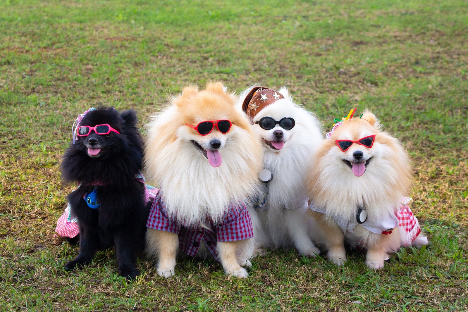 Tá chegando a hora do Aurraial que vai movimentar a Faria Lima no próximo sábado (09), em SP - imagem 6