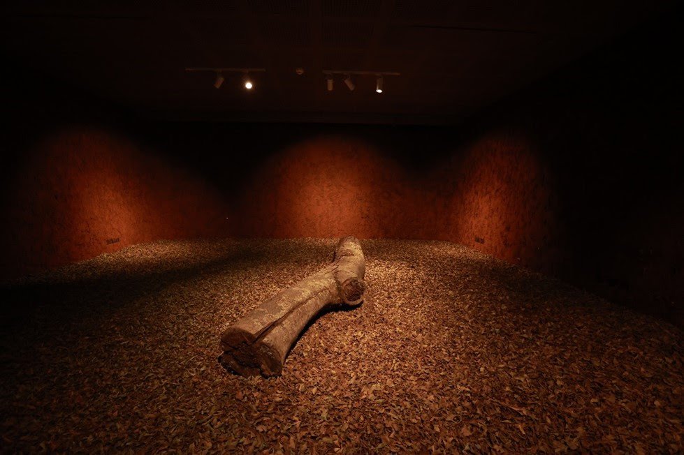 Museu das Culturas Indígenas apresenta performance artística de Edivan Fulni-ô no sábado (13/08)