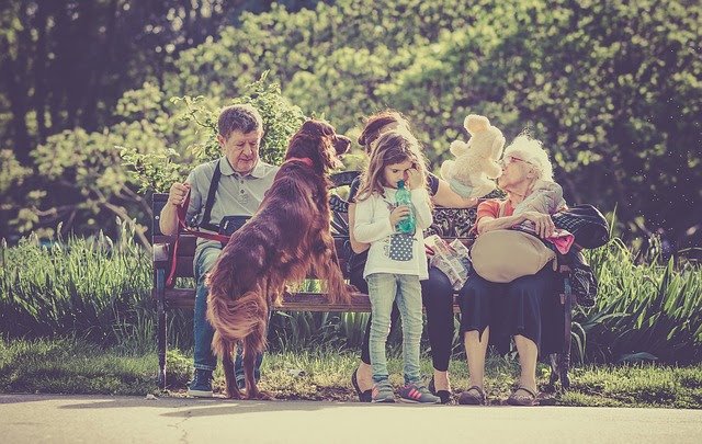 Viagem em família: levar ou não o cachorro?