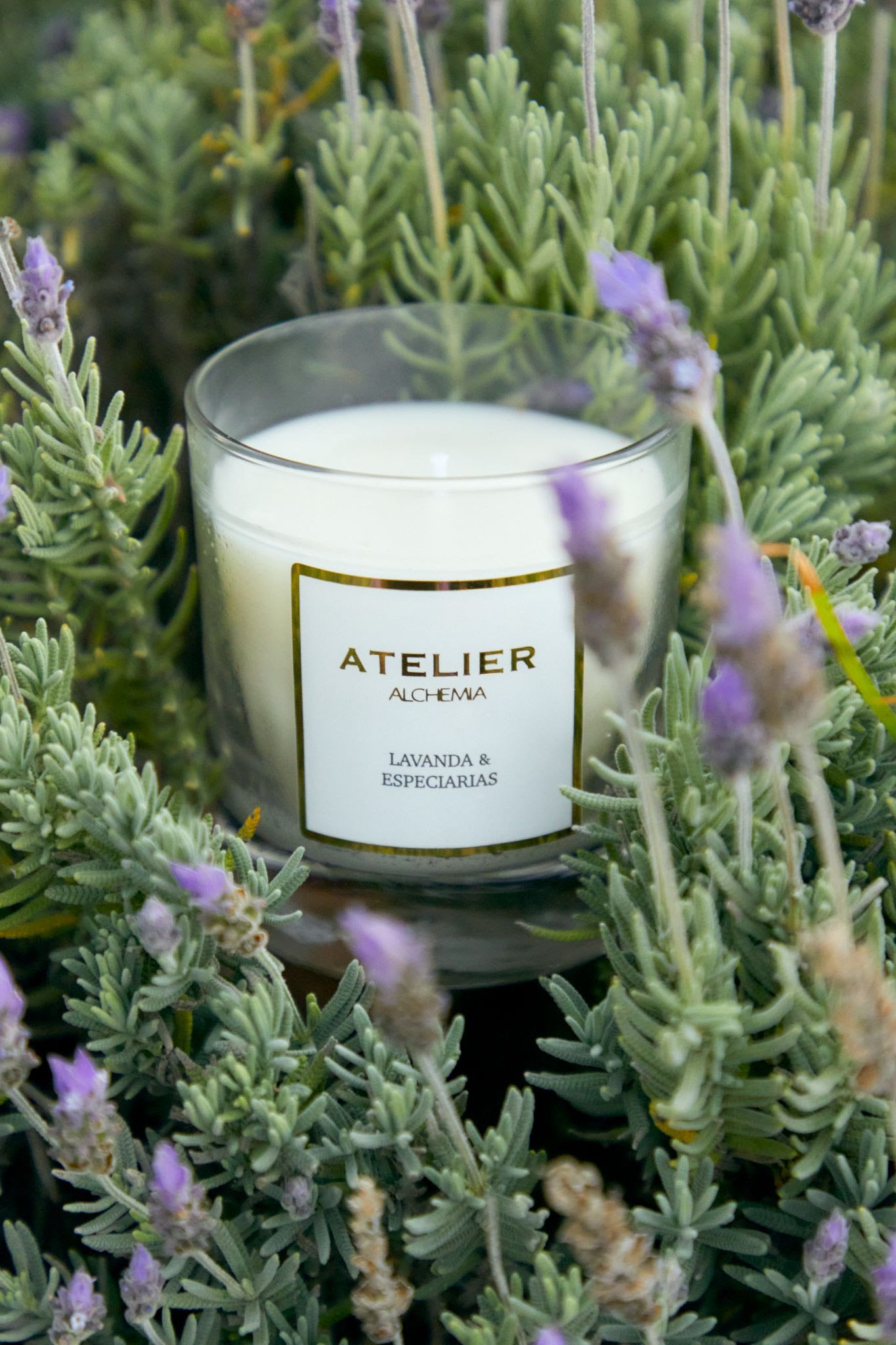 Com uma proposta sensorial e delicada, Renner apresenta nova coleção premium da linha Atelier - imagem 12