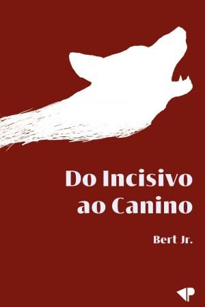 Dia do Turismo: 10 livros para inspirar sua próxima viagem - imagem 7