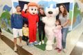 Familia Senna 