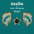 Zeeba lança versão reimaginada de "Wild World" de Yusuf / Cat Stevens - imagem 2