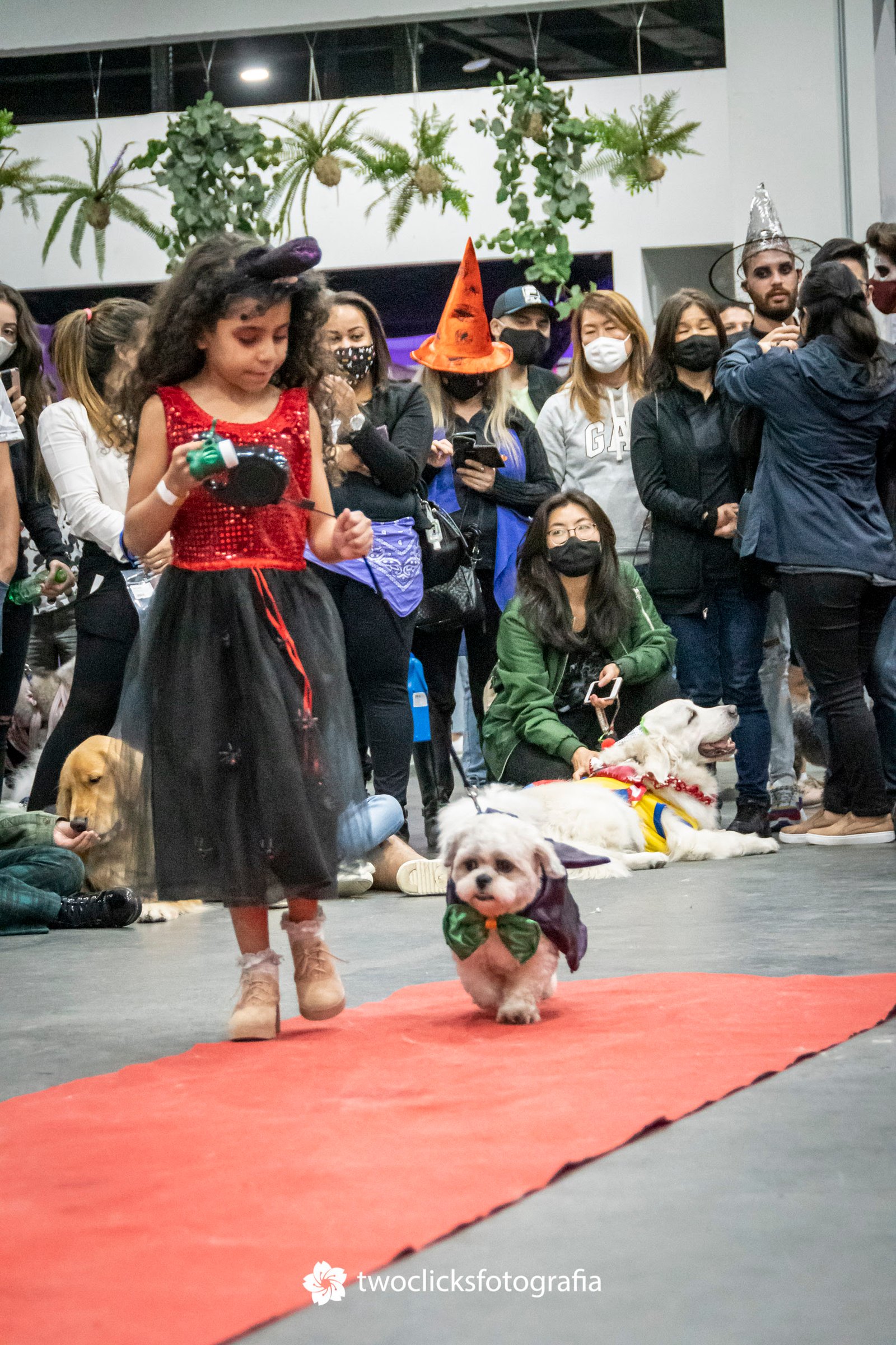 Cachorródromo promove Halloween para pets e tutores - imagem 2