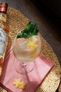 Dia Internacional do Gin Tônica: descubra como preparar esse drink de diferentes formas - imagem 6