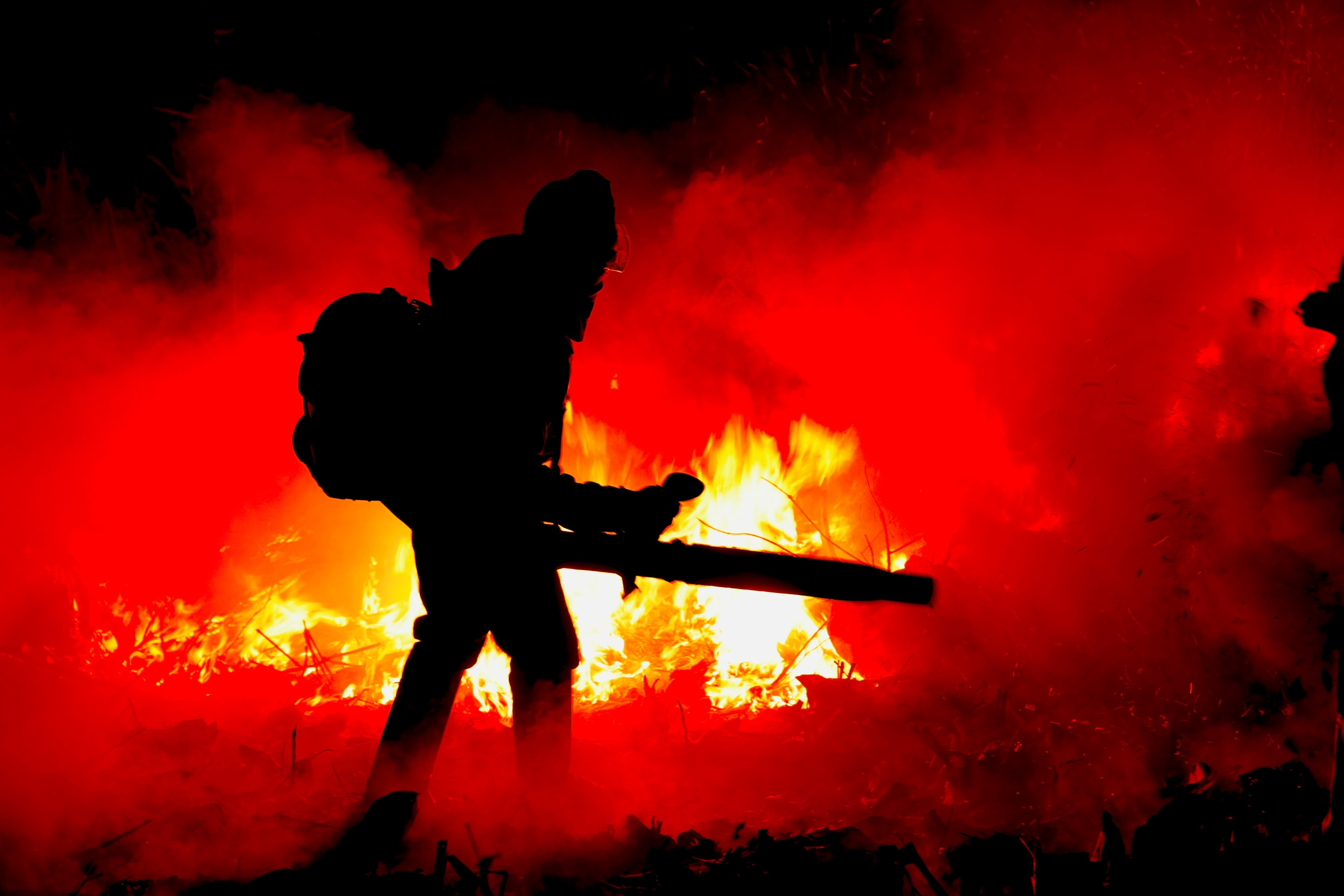 Documentário independente sobre incêndios no Pantanal conquista prêmio de sustentabilidade no maior festival
