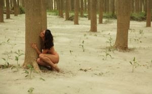 Mostra on-line de CineDança do Instituto Cervantes acontece entre os dias 07 e 21 de outubro - imagem 3