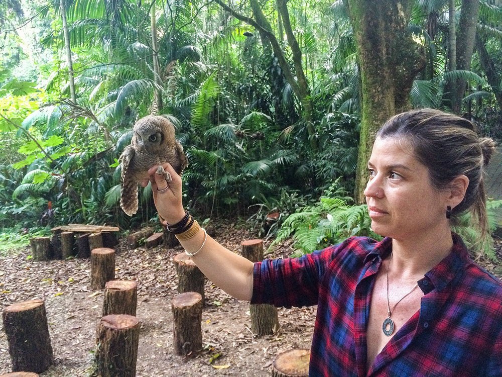 São Paulo possui ampla fauna de animais silvestres que reconecta os paulistanos com a natureza - imagem 2