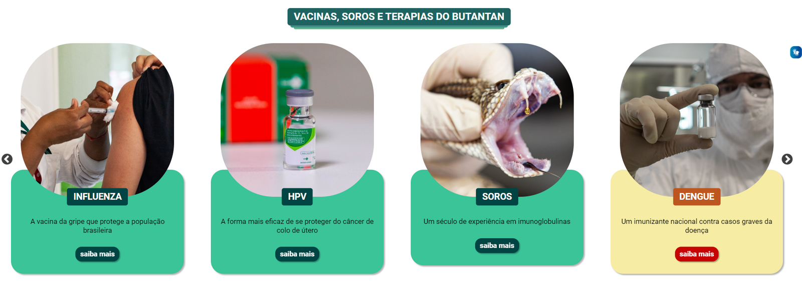 Butantan estreia novo portal, com layout mais moderno e destaque para fotos - imagem 3
