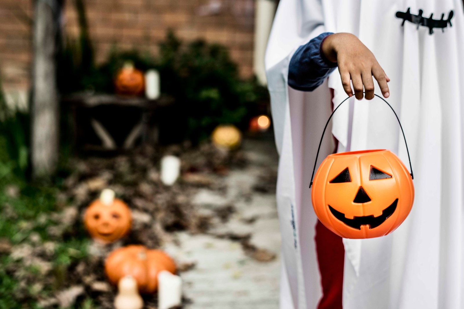 Curitiba terá Halloween de rua gratuito com distribuição de doces e concurso de fantasia para pets