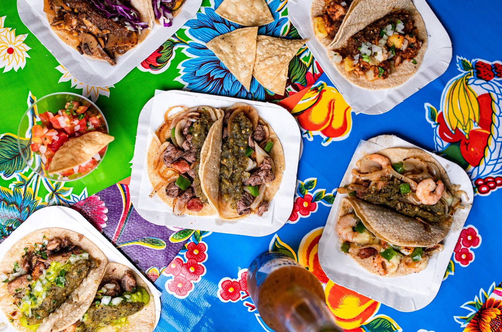 Fiesta de Día de Muertos e Festival de Tacos celebram no Memorial da América Latina duas das mais importantes