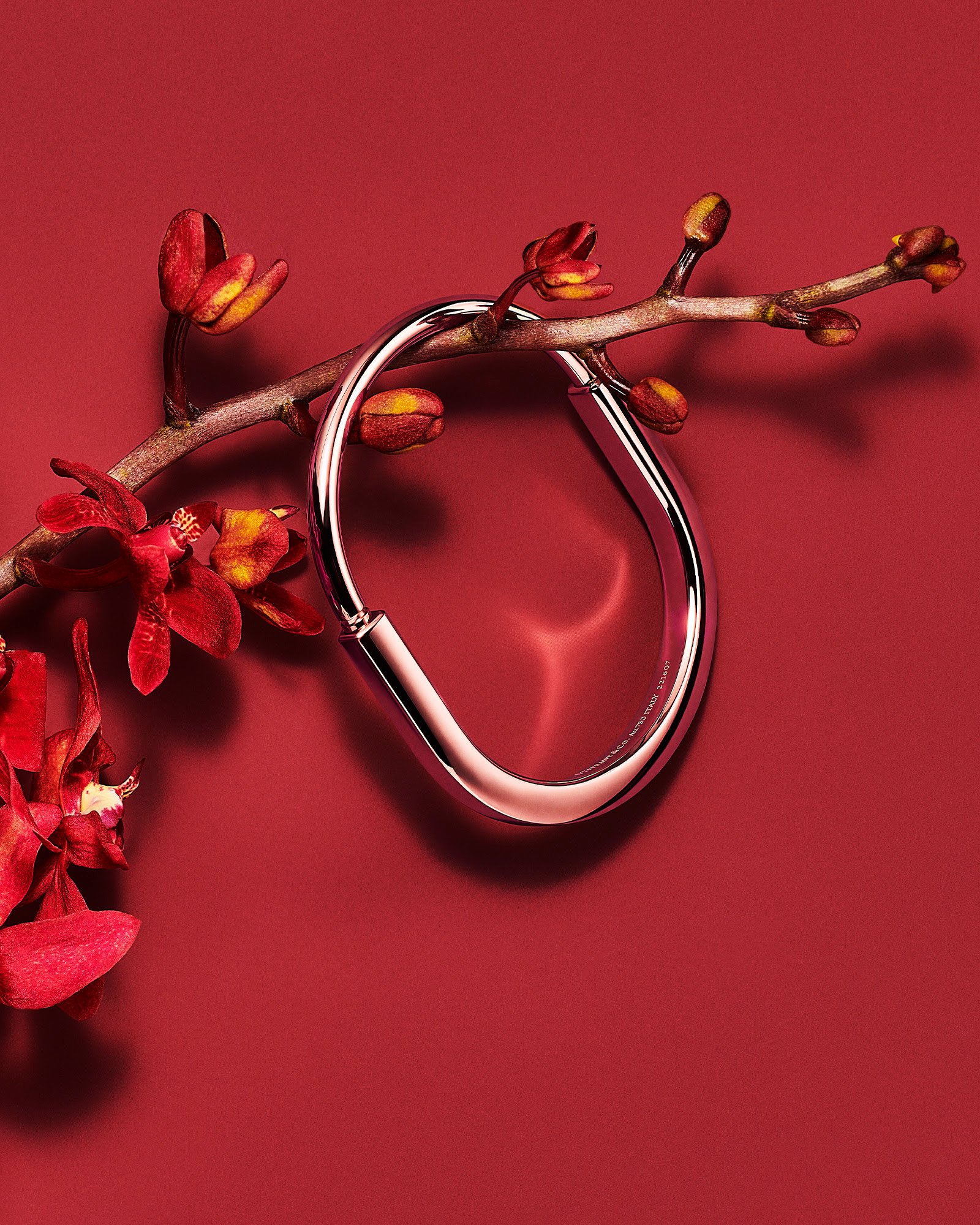 Tiffany & Co. celebra Ano Novo Chinêscom campanha e seleção especial de joias