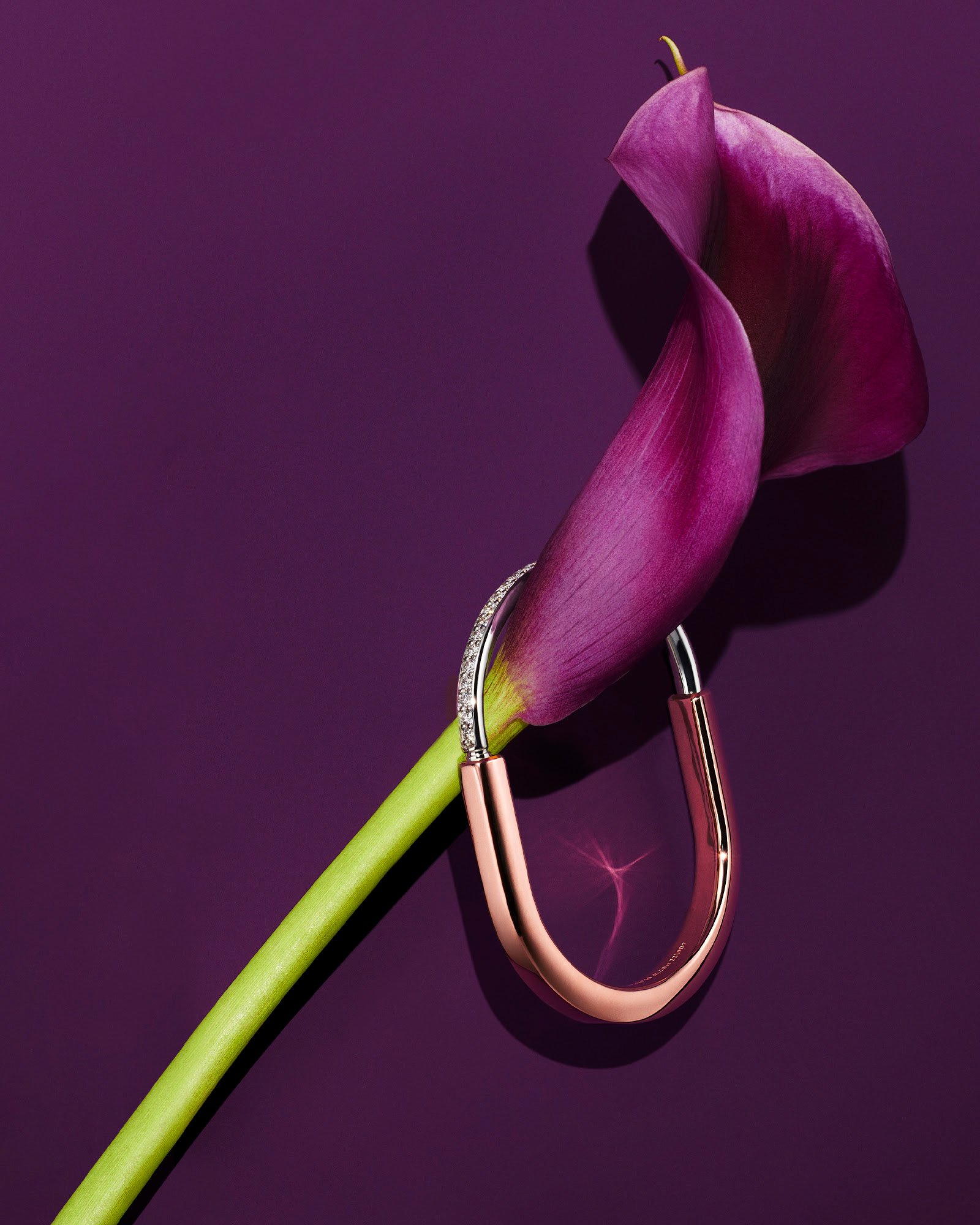 Tiffany & Co. celebra Ano Novo Chinêscom campanha e seleção especial de joias - imagem 2