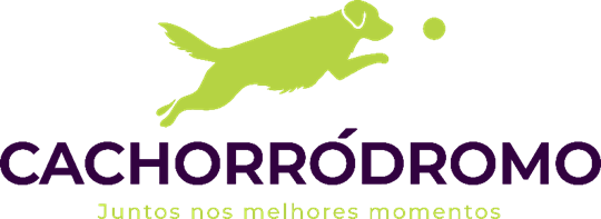 Cachorródromo® convida tutores para curtir a folia com seus pet