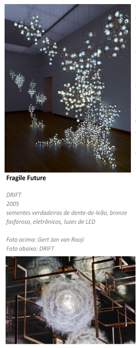 DRIFT CHEGA AO BRASIL COM ARTE QUE APROXIMA NATUREZA E TECNOLOGIA DE FRONTEIRA - imagem 3
