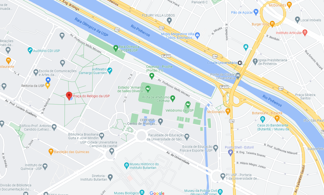Micareta sustentável diverte e alerta para o uso racional da energia em evento gratuito da USP - imagem 5