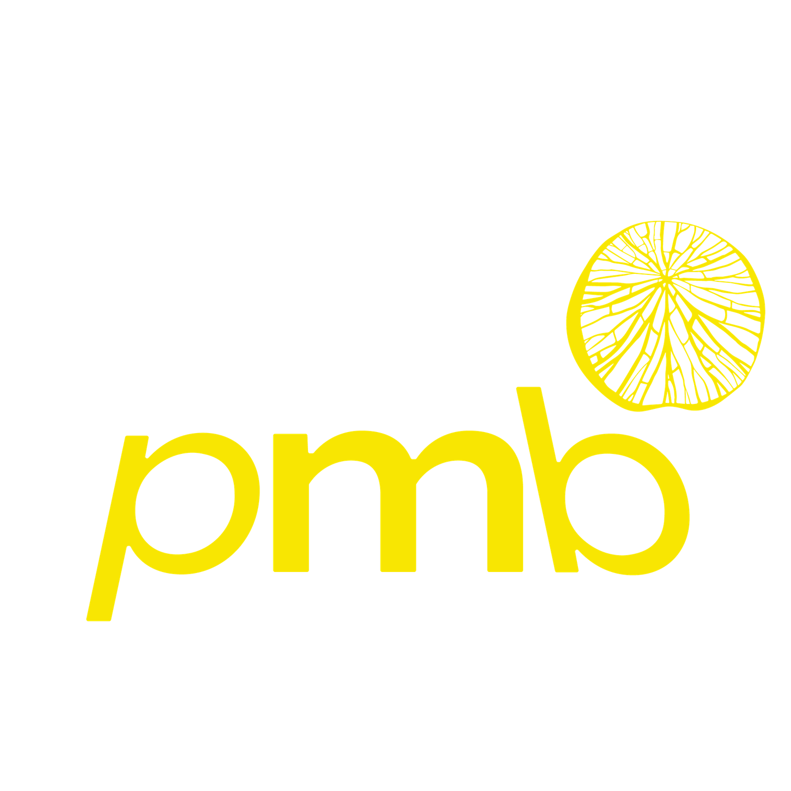 30º PRÊMIO DA MÚSICA BRASILEIRA ANUNCIA OS INDICADOS