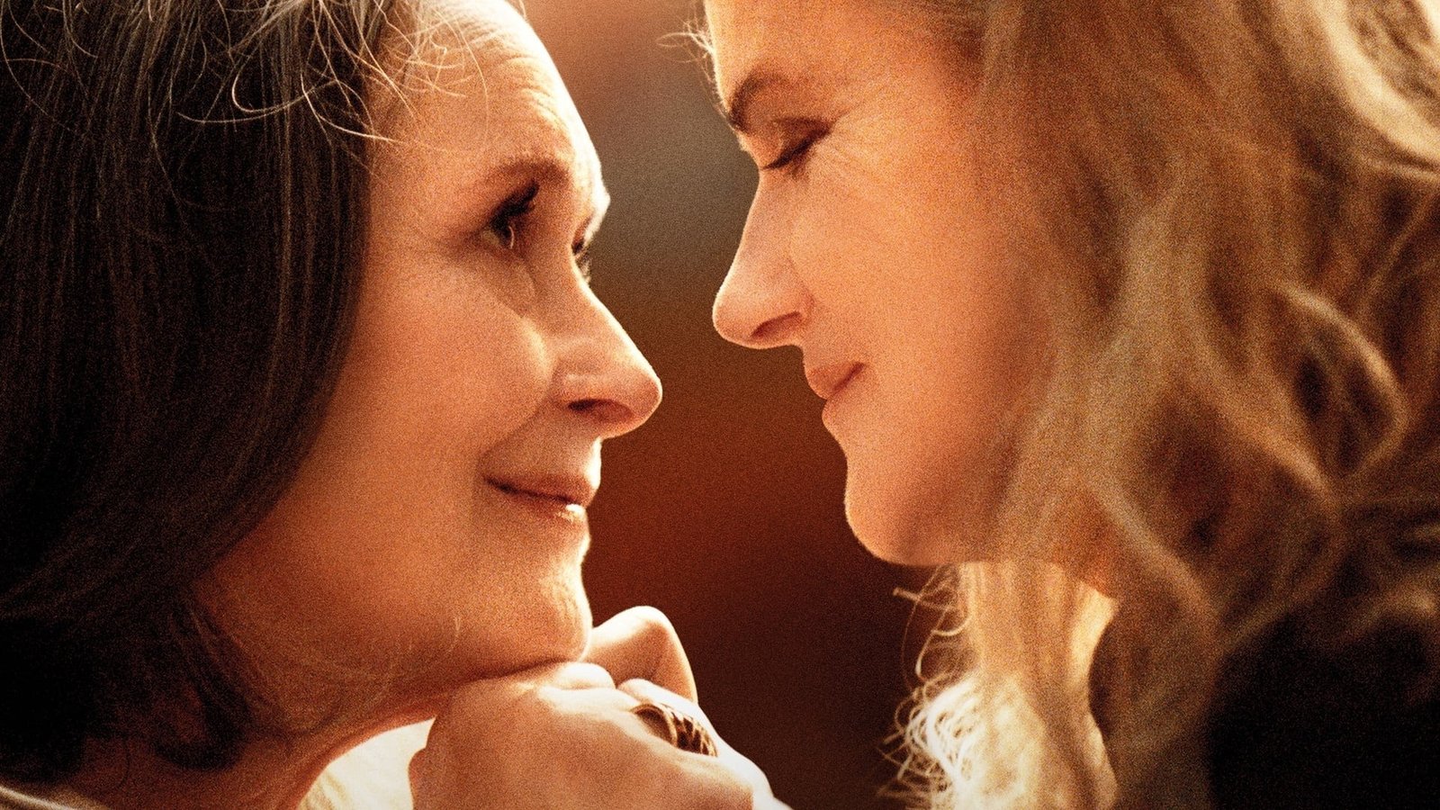 No aquecimento para Cannes, Telecine Cult exibe programação especial - imagem 9