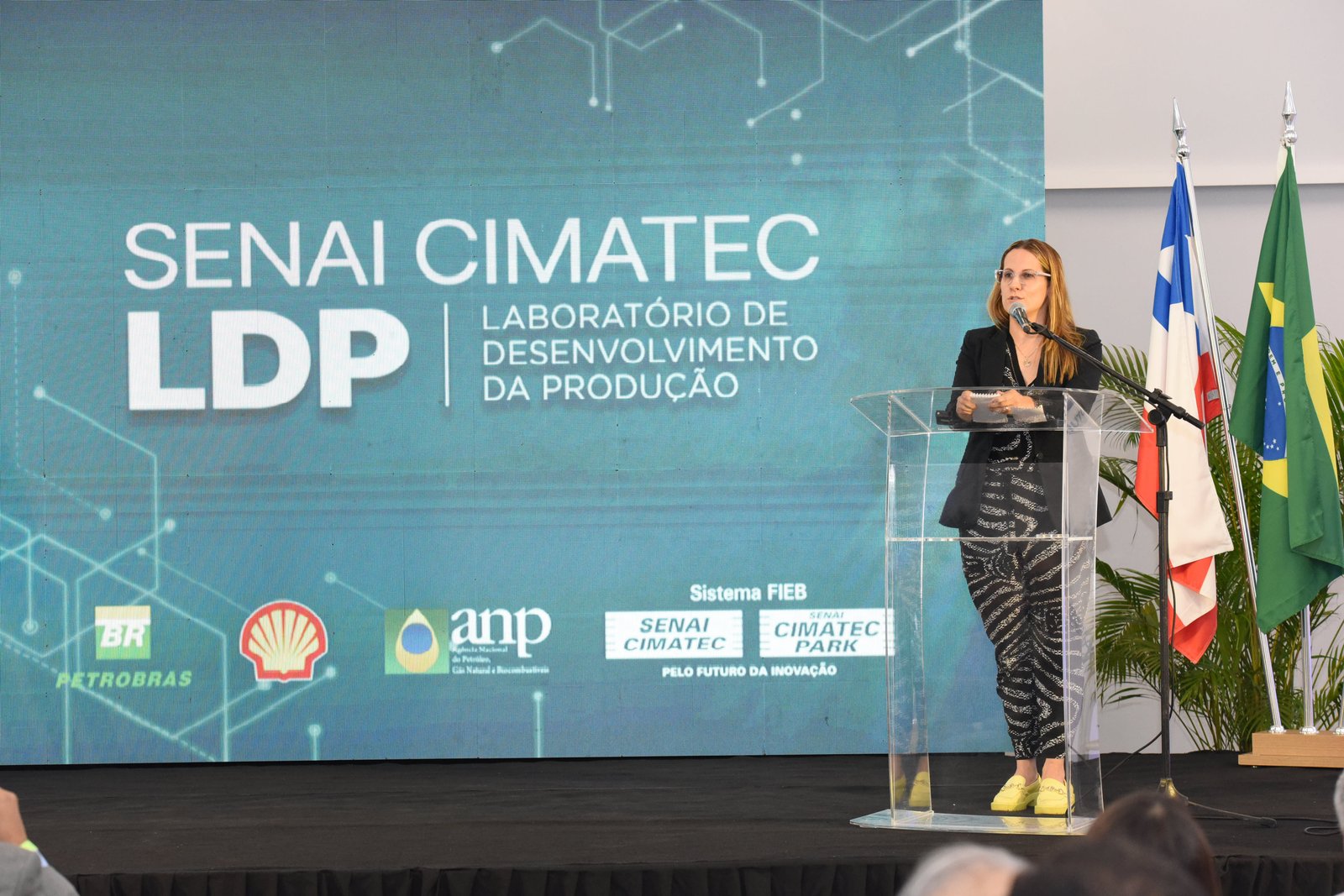 Petrobras, Shell e Senai CIMATEC iniciam construção de ambiente para testes em condições similares ao pré-sal - imagem 2