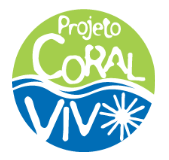 Série "Amar o Mar" apresenta, em sua quinta temporada, as maravilhas submersas dos Chapeirões de Abrolhos, no