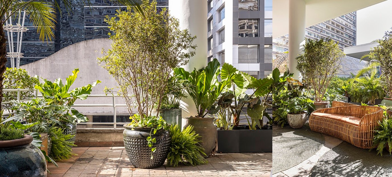 No Mirante Paulista, de Catê Poli e João Jadão para a CASACOR São Paulo, peças de design orgânico integram o - imagem 6