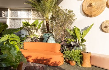 No Mirante Paulista, de Catê Poli e João Jadão para a CASACOR São Paulo, peças de design orgânico integram o - imagem 8