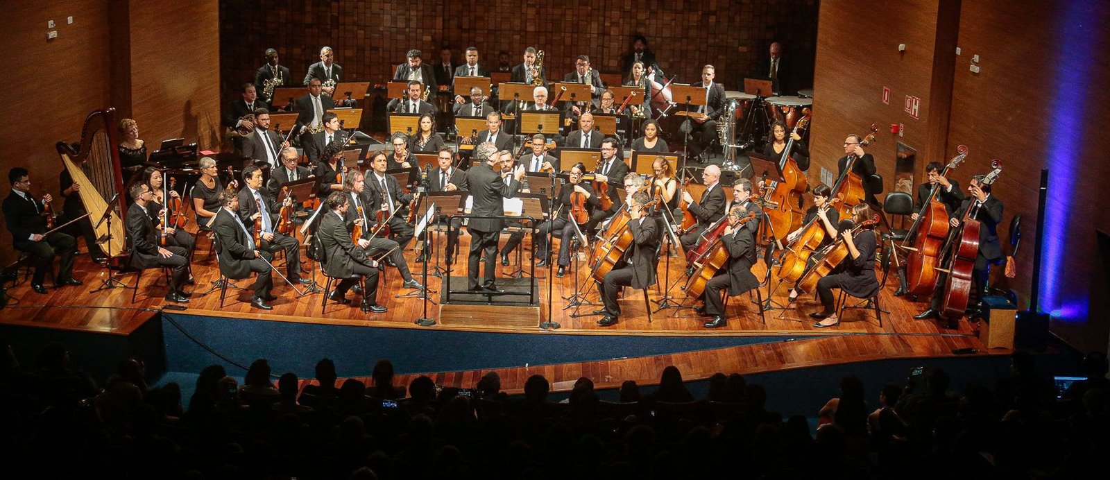 Orquestra Sinfônica da USP abre agenda de concertos gratuitos de maio e junho com Violeta Parra, Portinari e - imagem 4