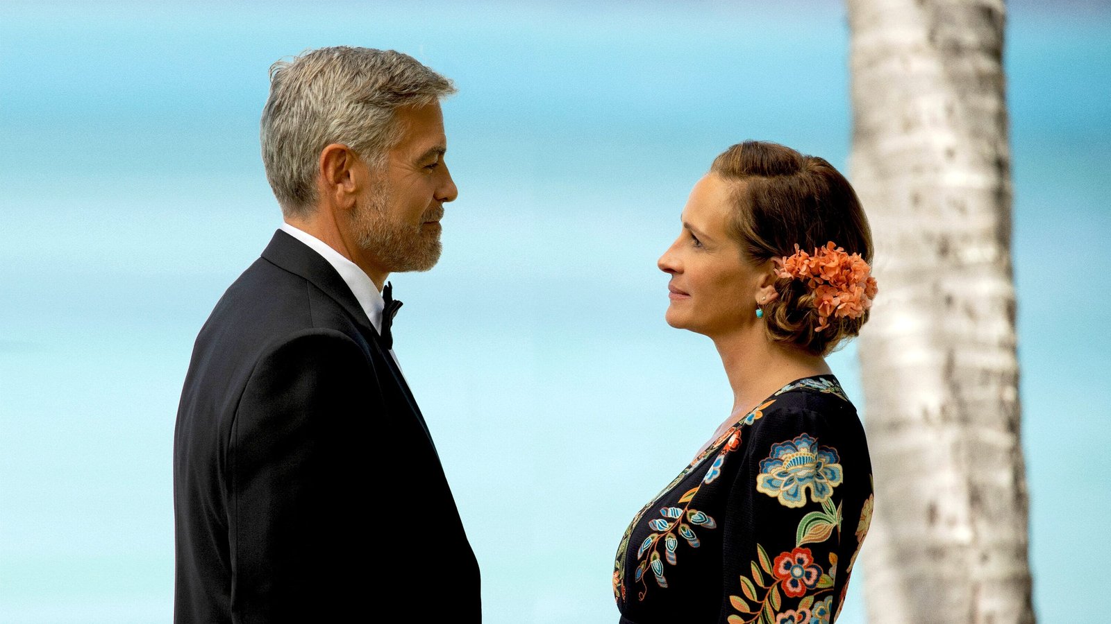 Telecine oferece dois meses de assinatura com 50% de desconto - imagem 2