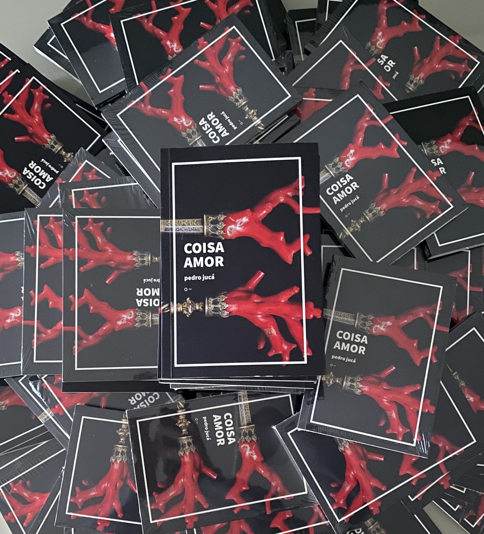 Escritor Pedro Jucá lança “Coisa Amor” na Livraria Mandarina, em São Paulo