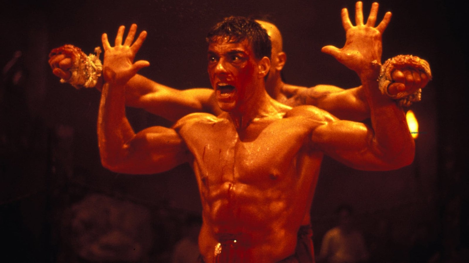 Megapix exibe especial ‘3X Van Damme’ com: ‘Morte Súbita’, ‘O Grande Dragão Branco’ e ‘Kickboxer’ - imagem 2