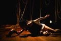 BWV 988: Trinta Possibilidades de Transgressão