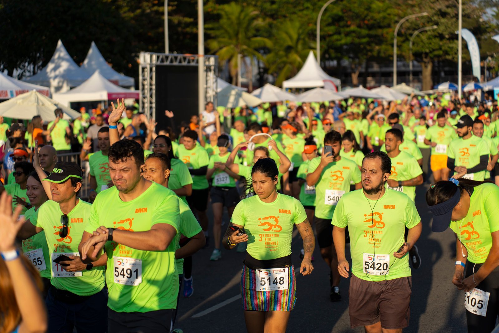 Corrida pelos Animais no Rio de Janeiro - imagem 2