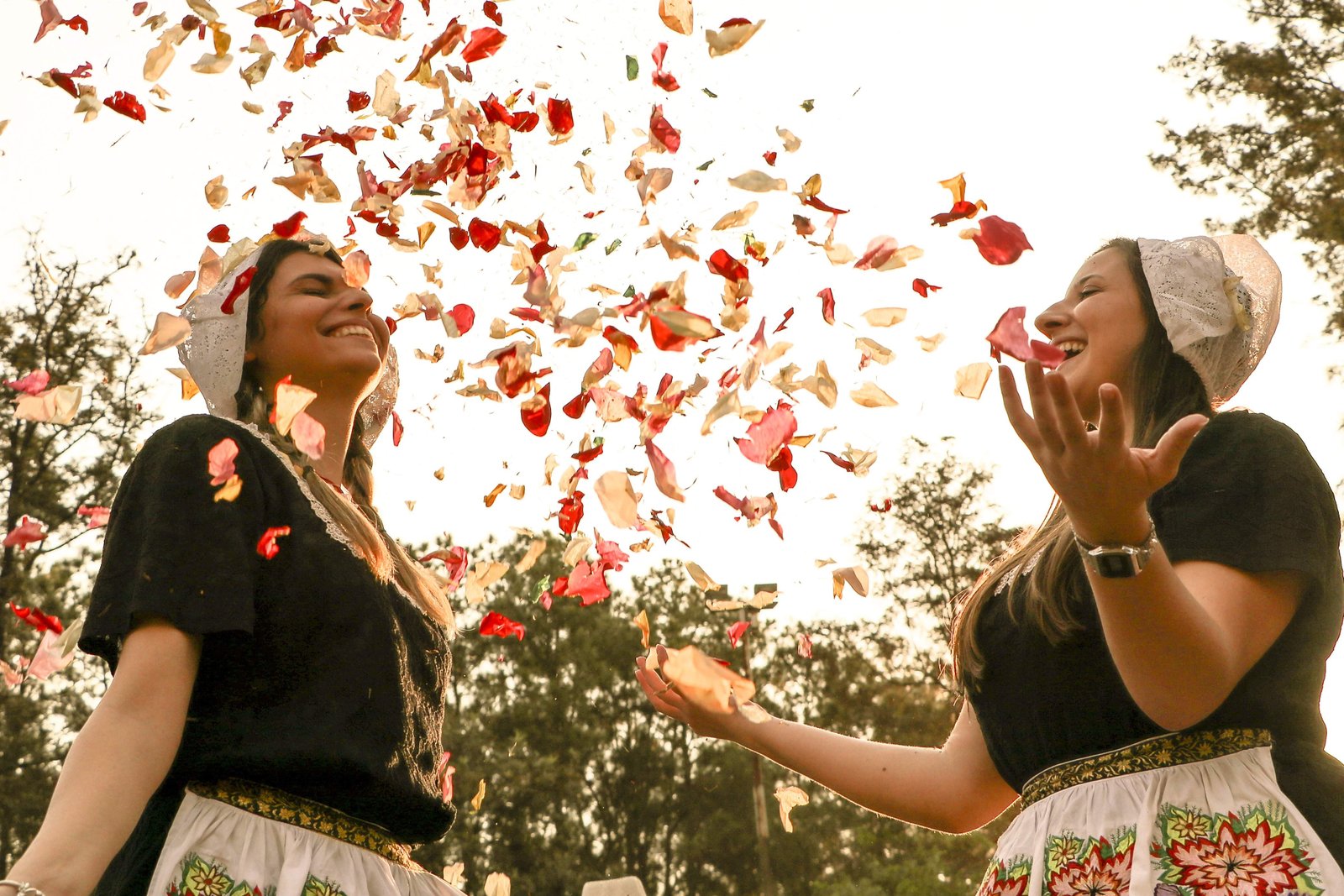 Garanta o ingresso para a Expoflora a preço promocional – na próxima semana haverá virada de lotes devido à - imagem 2
