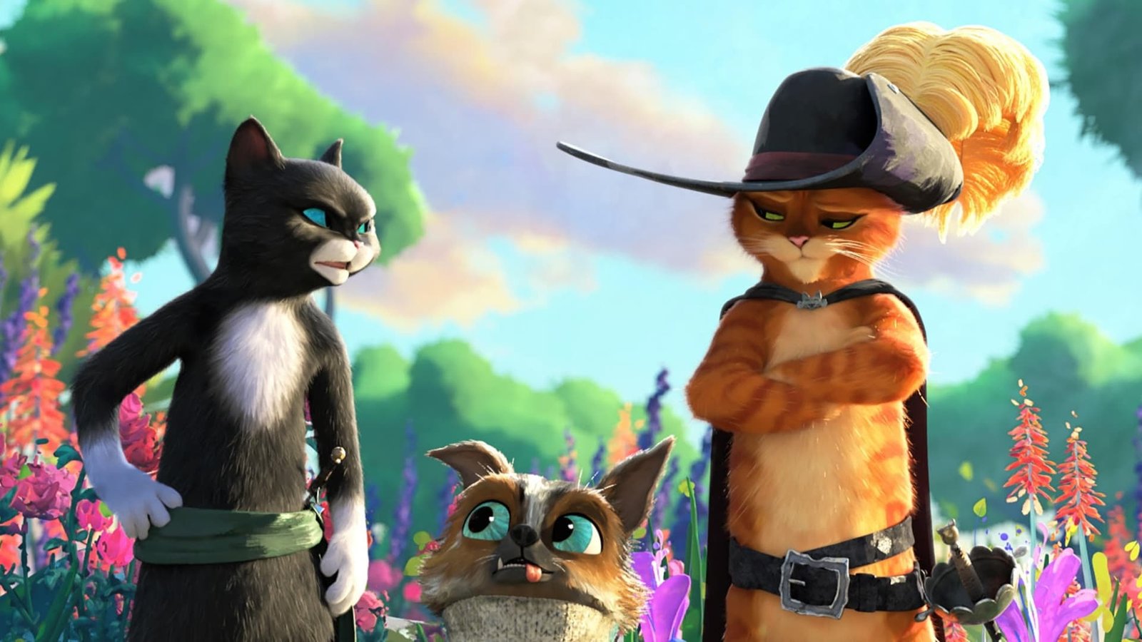 ‘Gato de Botas 2’, ‘Ela Disse’ e ‘80 For Brady - Quatro Amigas e Uma Paixão’ estão entre as estreias de - imagem 2