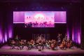 Orquestra Ouro Preto - A-Ha 